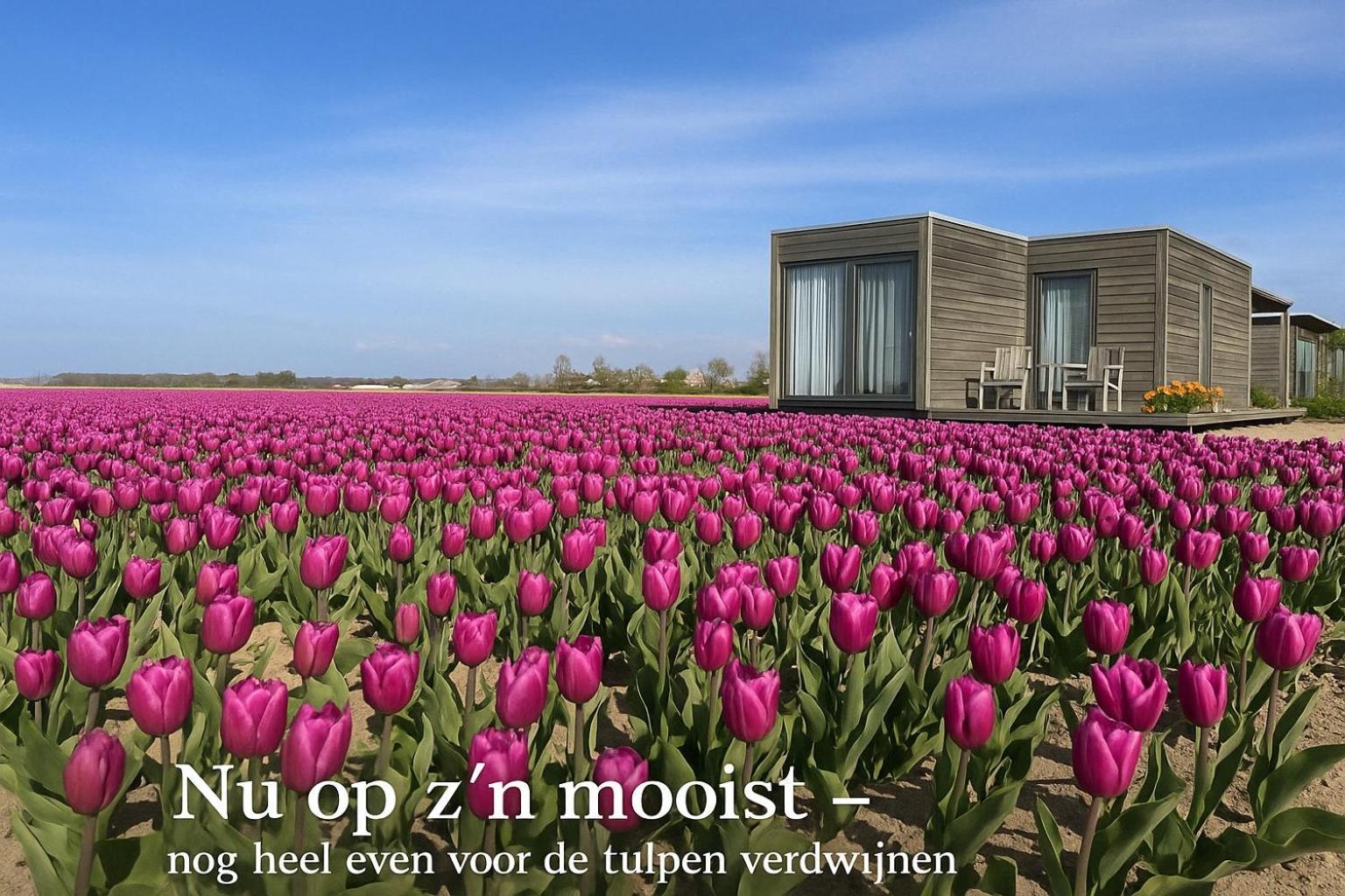 Blossombed Voorhout Exterior photo